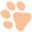 Cat Dancer Products Icon