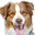 Coastal Pet Products Icon