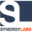 Synergy Labs Icon
