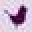 Petit Nest Icon