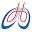 PowerLung Icon