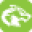 Wolf Designs Icon