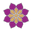 Vijayalakshmi Silks Icon