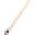 Atlas Brush Icon