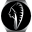 Blackhawk Technology Company Icon