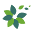 BloomCatch Icon
