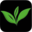 Pure Leaf Icon
