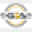 Gold Standard Athletics Icon