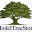 ModelTreeStore.com Icon