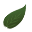 Caterpillar Care Icon