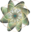 Natura Health Products Icon