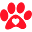 CertaPet Icon