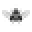 Insecta Shoes Icon