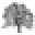 Peculiar Ambitions Icon