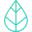 EcoBloom Icon