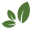 Plantacea CBD Icon