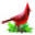 Wagners Icon