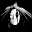 Native Expressions Icon