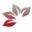 Herbal Code Icon