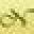 NatraTouch Icon