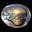 Abalone Allure Jewelry Icon