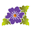 Willow Leaf Studio Icon