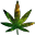 Mega Marijuana Store Icon