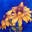 Silk Painting Gallery Icon