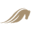 Premierequestrian Icon