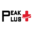 Peak Plus Icon