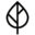 Korina Icon