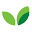 Osmocote Icon