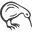 Kiwi Sandals Icon