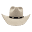 The Hat Store Icon