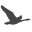 Away with Geese Icon
