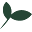 Natrapel Icon
