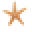 Tumbler Home Icon