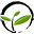 Luna Cha Icon