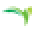 Aquatic Life Icon