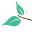 Modern Natural Baby Icon