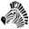 Zany Zebra Designs Icon