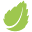 Birchware Icon
