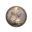 Coincraft Icon