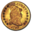 Northeast Numismatics Icon