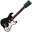 Silvertone World Icon
