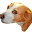 Bacon Spray Dog Food Toppers Icon