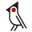 Bobo Bird Icon