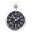 Dueber Watch Co Icon