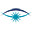 Lasercare Eye Center Icon