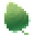 Aleva Naturals Icon